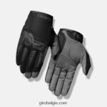 FXR244150 Giro uniseks gnar handschoen donkere schaduw/zwart