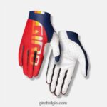 FXR244749 Giro Heren trixter handschoen horizon
