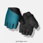 FXR244760 Giro Heren jag handschoen haven blauw